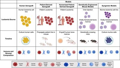 Leukemia’s Next Top Model? Syngeneic Models to Advance Adoptive Cellular Therapy